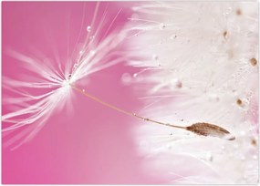 Tablou - Floare macro (70x50 cm)