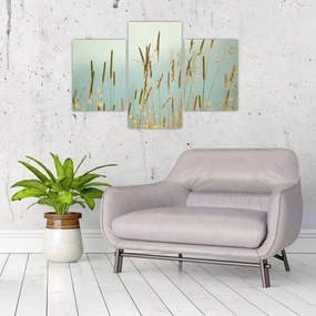 Tablou - Luncă (90x60 cm)