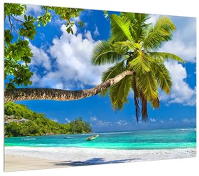 Tablou cu palmier și plaja (70x50 cm), în 40 de alte dimensiuni noi