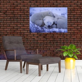 Tablou - Urși polari (90x60 cm)