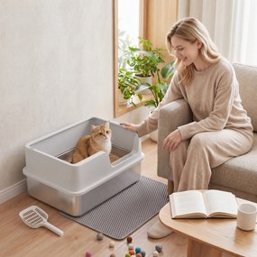 PawHut Litieră pentru Pisici xl cu Covoraș, Tavă din Oțel Inoxidabil, Lopățică, Perie, Până la 8 Kg, Gri Deschis | Aosom Romania