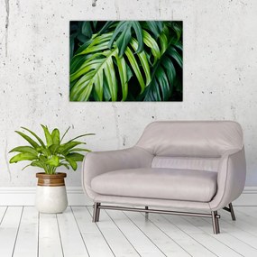 Tablou pe sticlă - Frunze tropicale (70x50 cm)