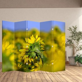 Paravan - Floarea soarelui (210x170 cm)