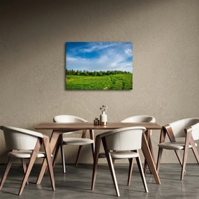 Tablou cu luncă (70x50 cm)