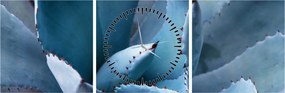 Tablou - Agave (cu ceas) (90x30 cm)