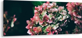 Tablou - Hortensie (120x50 cm)