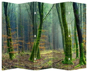 Paravan - Pădure (210x170 cm)