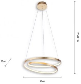 Lustră LED dimabilă pe cablu ROMAN LED/30W/230V aurie Paul Neuhaus 2472-12