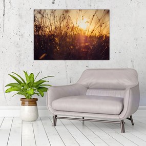 Tablou - Câmp la apus de soare (90x60 cm)