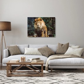 Tablou pe sticlă cu leu în natură (70x50 cm)