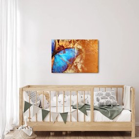 Tablou - Fluture albastru (70x50 cm)