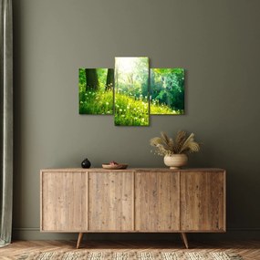 Tablou - Pajiște magică plină de păpădii (90x60 cm)