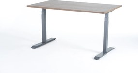 Birou reglabil electric Viva Upgrade 2.0, dual motor, 120 kg - 1600x800x25 - Robson - Gri
