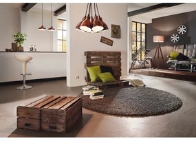 Eglo 49243 - Lustra AUCK lant 1xE27/60W/230V