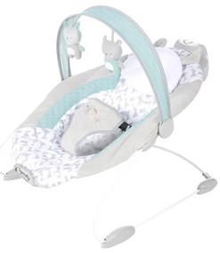 Balansoar cu vibrații și sunete pentru bebeluși RAYLAN Ingenuity