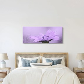 Tablou - Flori mov (120x50 cm)