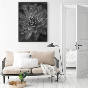 Poster - Conifer Grey (A4)