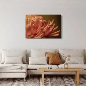 Tablou cu detailu florii (90x60 cm)