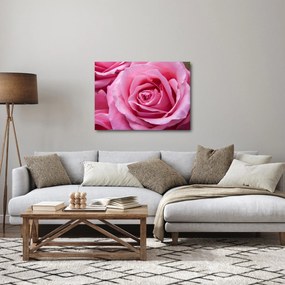 Tablou cu trandafir (70x50 cm)