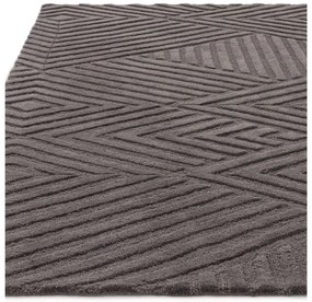Covor gri antracit din lână 160x230 cm Hague – Asiatic Carpets