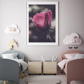 Poster - Floarea de trandafir (A4)