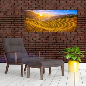 Tablou - Terasele de orez din Vietnam (120x50 cm)