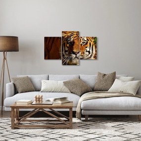 Tablou cu tigrul (90x60 cm)