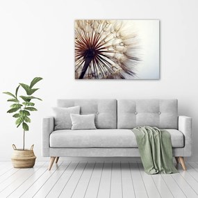Tablou pe pânză canvas Păpădie