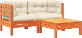 vidaXL Canapea de grădină cu perne și taburet, 2 locuri