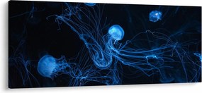 Tablou - Meduză (120x50 cm)