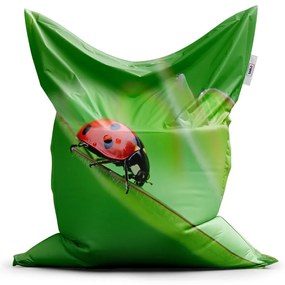 Sac de șezut Classic buburuză pe frunză - pentru copii, verde