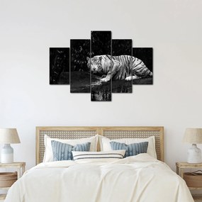 Tablou - Tigru alb, alb-negru (150x105 cm)