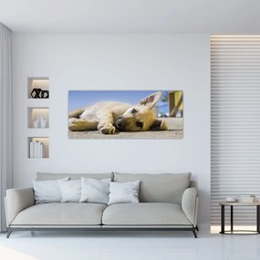 Tablou cu cățeluș dormind (120x50 cm), în 40 de alte dimensiuni noi