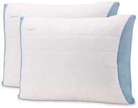 2xDORMEO MEMOSAN PILLOW CLASSIC HC4 50X70