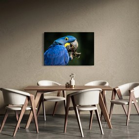 Tablou cu papagal (90x60 cm)