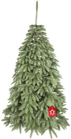 Molid Caucazian 2D 220 cm