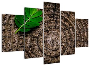 Tablou cu frunză pe trunchi de copac (150x105 cm)