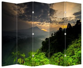 Paravan - Peisaj montan verde (210x170 cm)