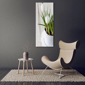 Imprimare tablou canvas Șofran alb