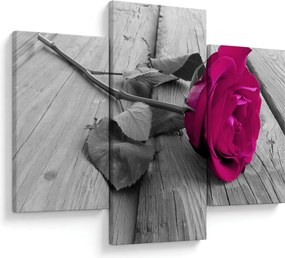 Tablou - Trandafir roz (90x60 cm)