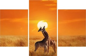 Tablou - Girafe în Parcul Național Serengeti (90x60 cm)