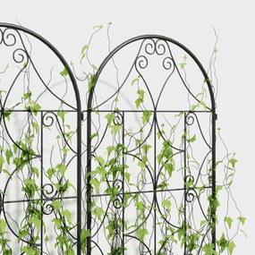 Outsunny Suport pentru plante cățărătoare cu model lot de 2 treic de grădină pentru vițe flori legume metal 50 x 150 cm negru | Aosom Romania