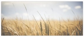 Tablou cu grâne (120x50 cm)