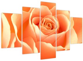 Tablou - Imaginea- Trandafiri, culoarea caisei (150x105 cm)