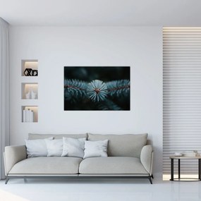 Tablou -Crenguțe ale unui conifer (90x60 cm)