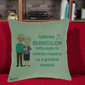 Cadou pentru Bunici - Perna Personalizata Bunicii Iubirea Infloreste Cuplu Senior Teal, 40x40 cm, Verde, Husa Detasabila, Perna Inclusa, BEKZ®