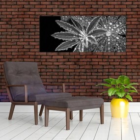 Tablou - Frunze cu picături (120x50 cm)