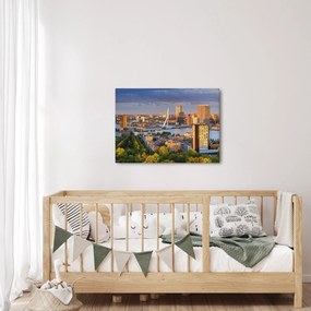 Tablou - Panorama Rotterdamului, Țările de Jos (70x50 cm)