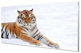 Panouri de sticlă Tiger de iarnă