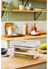 Organizator de frigider din plastic Cauma – Rotho
